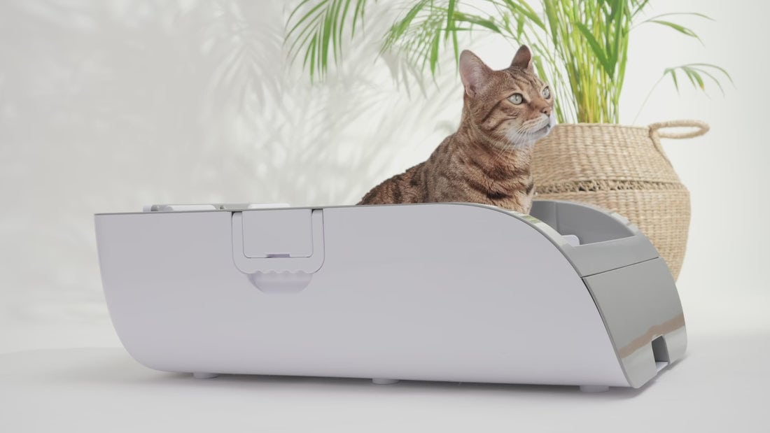 ideo des PETECH EvoScoop zeigt Katze im selbstreinigenden Katzenklo, mit Sensorstopp, verschiedenen Farben und Designmerkmalen.